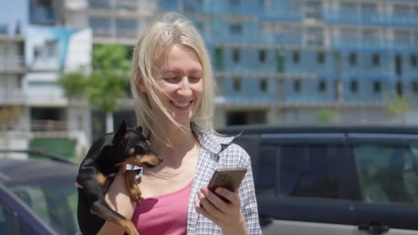 美丽纤细的年轻女子带着小宠物狗在城市里走来走去 看手机屏幕 她选择了一些应用中的东西 或者在阳光灿烂的日子里通过信使进行交流 — 图库视频影像