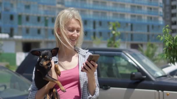美丽纤细的年轻女子带着小宠物狗在城市里走来走去 看手机屏幕 她选择了一些应用中的东西 或者在阳光灿烂的日子里通过信使进行交流 — 图库视频影像