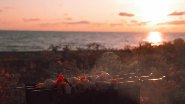 Шашлык Мяса Запеченных Овощей Жарят Древесном Угле Гриле Видом Океан — стоковое видео