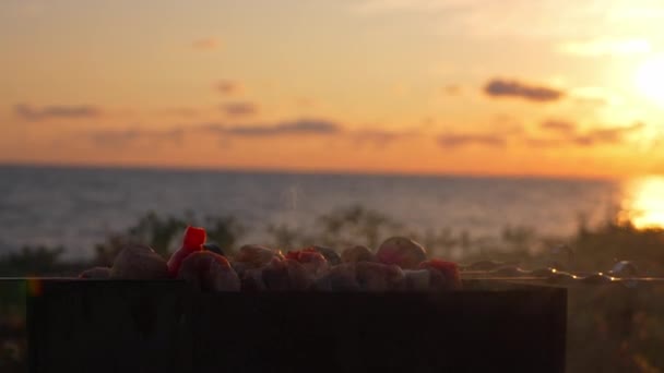 肉と焼き野菜のシシュケバブは 日没時に海や海を見下ろすグリルで炭で揚げられています リゾートでの海での週末 — ストック動画
