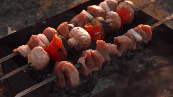 Shish Kebab Mięsa Pieczonych Warzyw Jest Smażony Węglu Drzewnym Grillu — Wideo stockowe