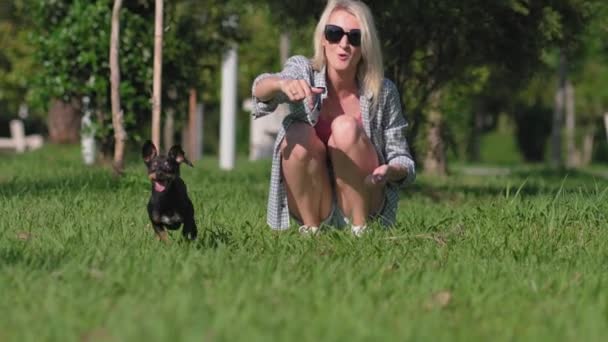 在公园举行的户外运动训练中 年轻的高加索女人和她的宠物狗玩具狗玩耍 狗追着球跑 然后把它带回来 他们很快乐 作为回报 她给了他美味的食物 — 图库视频影像