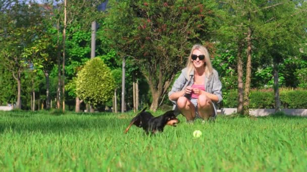 Joven Mujer Propietaria Caucásica Jugando Con Perro Terrier Juguete Entrenamiento — Vídeo de stock