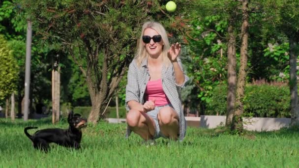 Ung Kaukasiska Ägare Kvinna Leker Med Sin Hund Leksak Terrier — Stockvideo