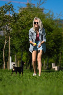 Şortlu, tişörtlü, güneş gözlüklü genç sarışın hostes köpeğiyle oynuyor. Siyah bir oyuncak teriyer. Güneşli bir günde şehir parkında top yakalama alıştırması yapıyor. Hayvan bakımı, eğitim kavramı.