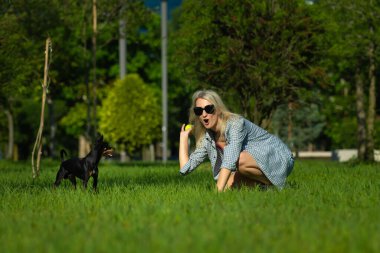Genç aktif mutlu kadın parkta siyah bir Terrier köpeğine sarı bir top atıyor. Sahibi ve köpeği güneşli bir günde çimlerde oynuyorlar.