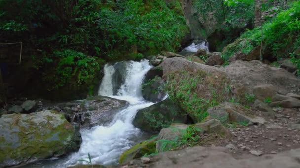 Rivière Sauvage Dans Forêt Montagne Flux Fluvial Rivière Forêt Montagne — Video