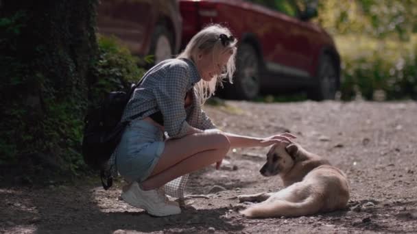Young Beautiful Blonde Woman Petting Stray Dog City Street Close — Stock Video