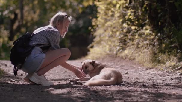 Junge Schöne Blonde Frau Streichelt Streunenden Hund Auf Der Straße — Stockvideo