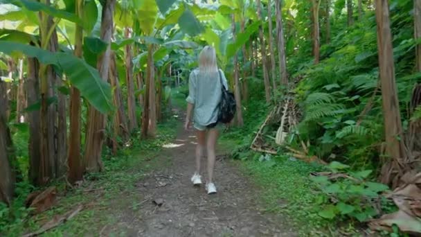 Young Beautiful Woman Walking Shade Palm Trees Rear View Girl — Stock Video