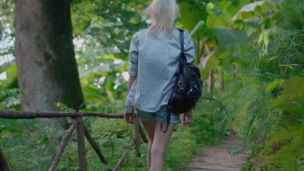 Young Beautiful Woman Walking Shade Palm Trees Rear View Girl — Stock Video