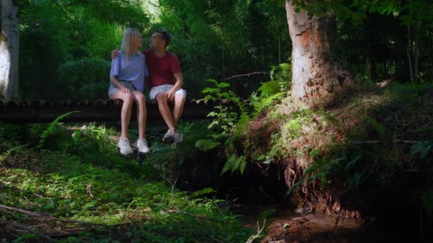 Gente Hombre Chica Sentados Puente Madera Bosque Disfrutan Vistas Naturaleza — Vídeo de stock