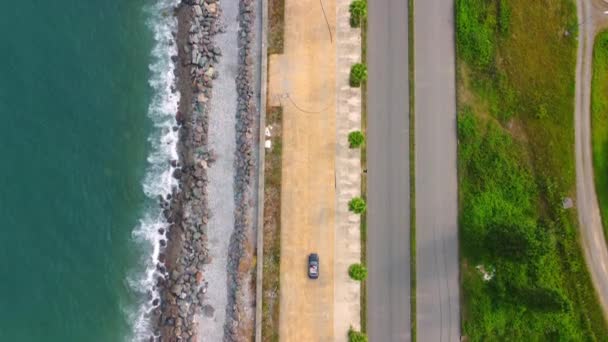 海路和敞篷车 可转换骑沿着海路走 沿着海路走 沿着海路有棕榈树 从无人机上俯瞰 夫妻乘坐豪华汽车 — 图库视频影像