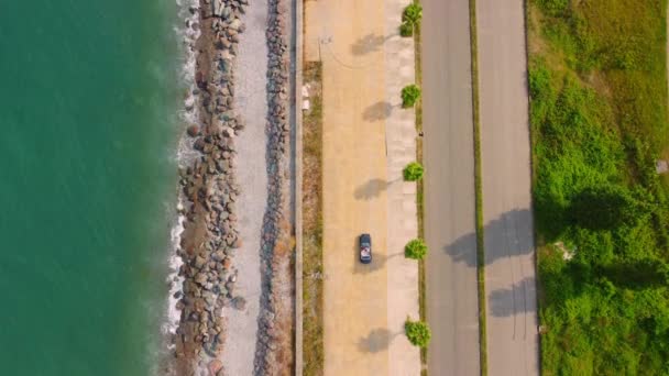 海路和敞篷车 可转换骑沿着海路走 沿着海路走 沿着海路有棕榈树 从无人机上俯瞰 夫妻乘坐豪华汽车 — 图库视频影像
