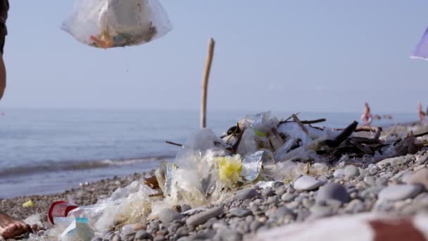Vrijwilligersactivisten Verzamelen Vuilnis Schoon Kustgebied Van Strand Man Gooit Plastic — Stockvideo