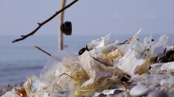 생태학 플라스틱 폐기물 생태학의 사람들은 쓰레기 바다에서 봉사자에 — 비디오