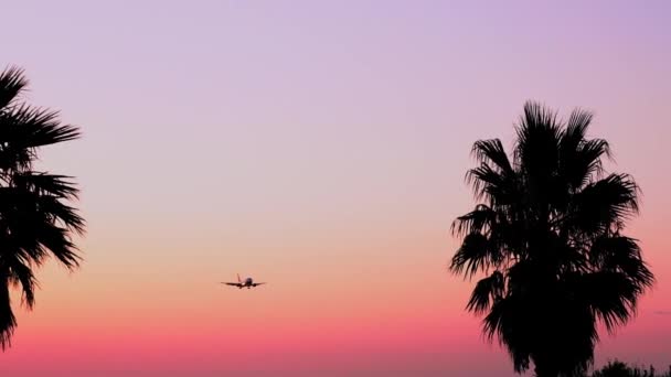 在多色的蓝色日落的背景下 带着粉色的日落和棕榈树降落在飞机上 带着蓝色天空和橙色的飞行飞机的风景 客机背景飞机 — 图库视频影像