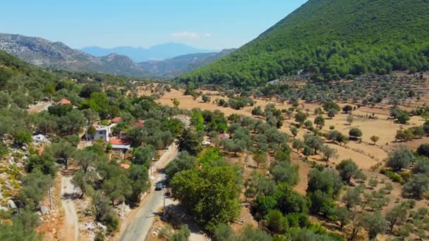 항공기는 터키의 나무와 협곡으로 도로를 따릅니다 기슭에 뜨거운 로맨스 휴가에 — 비디오