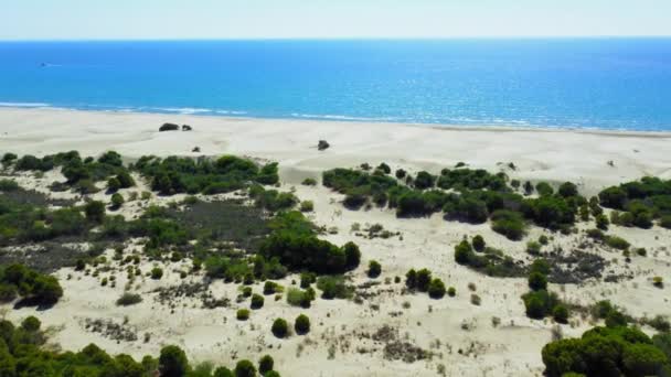 Bella Spiaggia Sabbiosa Patara Con Mare Blu Kalkan Antalya Turchia — Video Stock
