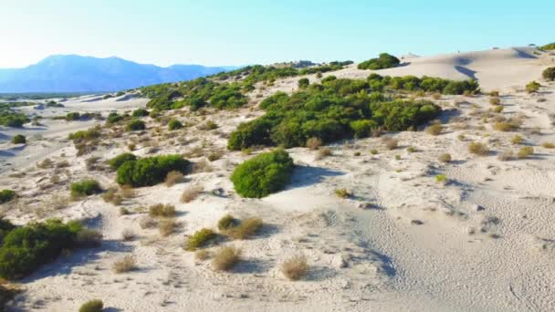 Vacker Patara Sandstrand Med Blått Hav Kalkan Antalya Turkiet Fågelperspektiv — Stockvideo