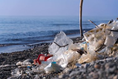Güneşli bir günde, bir çakıl taşı plajındaki bir çöp yığınına yakın çekim. Çevre kirliliği kavramı, çevre felaketi