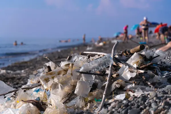 수집된 셀로판 가방의 사람들이 초점에서 배경에 해변에 해변에 플라스틱 생태학의 스톡 사진