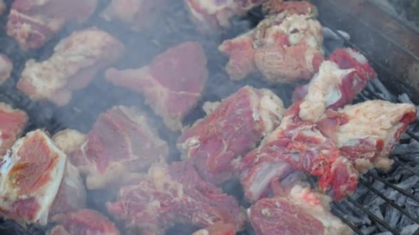 田舎の路上で金属の格子で料理するバーベキュー グリルした肉 Bbq新鮮な牛肉チョップスライス 伝統的な東洋料理 シャシリック 炭と炎のグリル ピクニック ストリートフード — ストック動画