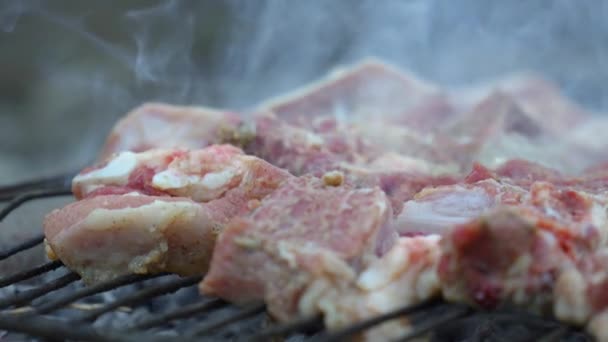 Barbecue Cottura Griglia Metallica Sulla Strada Campagna Carne Alla Griglia — Video Stock