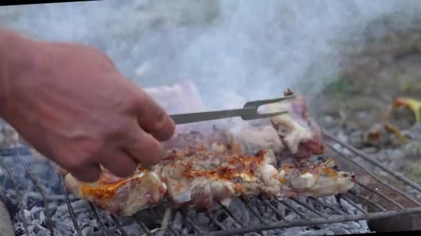 Primo Piano Mani Umane Cottura Barbecue Griglia Metallica All Aperto — Video Stock
