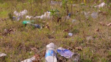 Ormana çöp yığını, doğaya rastgele çöplük. Pis kokulu yığın, plastik torba ve şişeler, doğanın kirli yeşil çimenlerindeki çöpler. Orman kirliliği kavramı. Yiyecek konteynırları parkın etrafına saçılmış.,