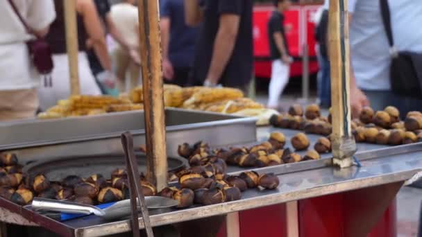 Famous Cheapest Turkish Street Food Grilled Corn Roasted Chestnuts Cart — Stock Video