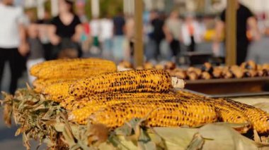 Ünlü Ucuz Türk Sokak Yemekleri. İstanbul 'da ızgara mısır ve kestane. - Yakın çekim. Turist mekanında satıcı çantasında kızartma ve satış yapıyor..