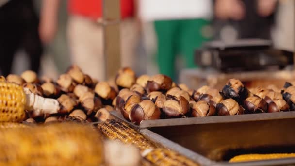 Famoso Más Barato Turco Street Food Maíz Parrilla Castañas Asadas — Vídeo de stock