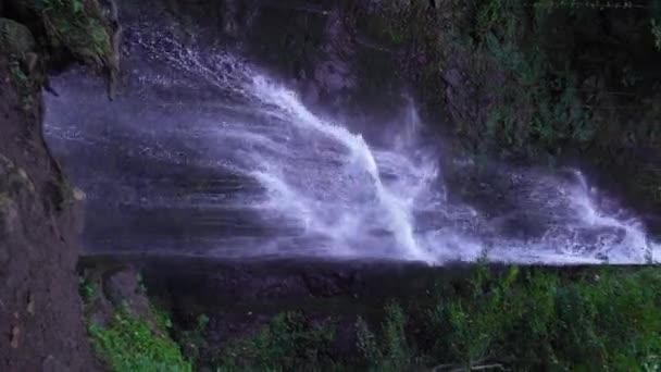 トロピカルな風景 熱帯雨林の美しい隠れた滝 アドベンチャーと旅行のコンセプト 自然史について 発砲する バーティカルビデオ — ストック動画