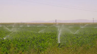 Otomatik sulama sistemi tarlalar ve çayırlardaki ekinler için. Sulama ve bahçıvanlık için otomasyon. Suyun kontrollü sulama sisteminde saklanması.