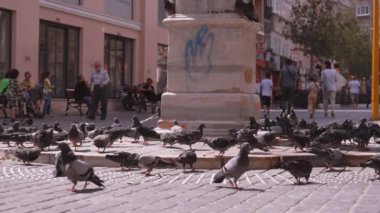 İSTANBUL, TURKEY - 3 Eylül 2023: İstanbul 'da şehir meydanında çok sayıda güvercin kuşu. Yoldan geçenler güneşli bir günde arka planda güvercinlerle sokaklarda yürüyorlar. Beslenen kuşlar.