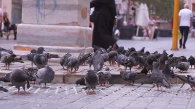 İSTANBUL, TURKEY - 3 Eylül 2023: İstanbul 'da şehir meydanında çok sayıda güvercin kuşu. Yoldan geçenler güneşli bir günde arka planda güvercinlerle sokaklarda yürüyorlar. Beslenen kuşlar.