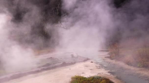 Impresionante Erupción Geysir Medio Naturaleza Salvaje Destino Turístico Popular Georgia — Vídeo de stock