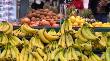 Bir sürü olgun sarı muz büyük bir süpermarketin ya da mağazanın tezgahına istiflenmiş. Tatlı, yumuşak tropikal meyve sağlıklı hasattır. Yenilebilir kabarık muzların kalın, parlak sarı derileri vardır..