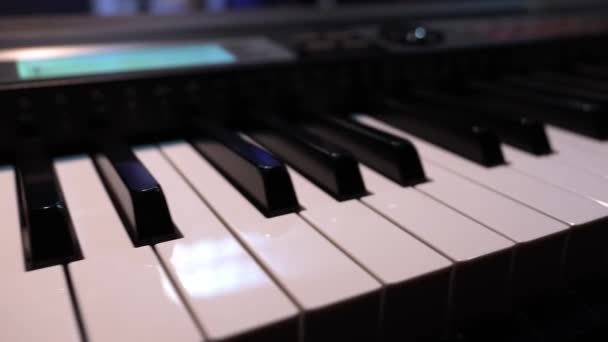 Πιάνο Συνθεσάιζερ Επαγγελματικό Αναλογικό Synthesizer Κλασικό Πιάνο Πληκτρολόγιο Και Κουμπιά — Αρχείο Βίντεο