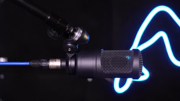Microphone Studio Condensateur Isolé Noir Microphone Studio Écran Pop Sur — Video