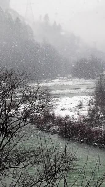 雪に覆われた山々 火の木 雪の嵐の森に川がある冬の風景 ジョージアの川岸で雪が降る冬のタキガの森 バーティカルビデオ — ストック動画
