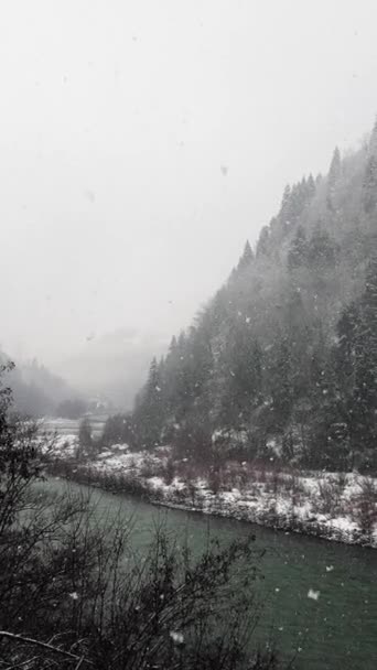 Zimní Krajina Řekou Zasněžených Horách Jedle Les Sněhové Bouři Zimní — Stock video