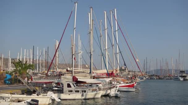 Nombreux Yachts Bateaux Dans Port Mer Marina Port Bateaux Voile — Video
