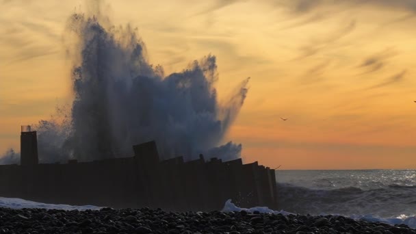 Onda Atingiu Grande Cerca Metal Subiu Alto Pôr Sol Tsunami — Vídeo de Stock
