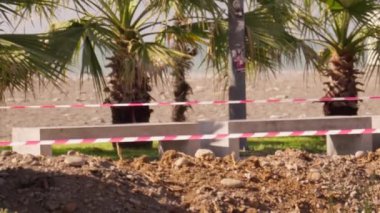 Kapalı karantina bölgesi. Sokakta palmiye ağaçları ve deniz olan uyarı bandı. Kazı ve inşaat alanının yakınındaki şeritli kırmızı ve beyaz kurdele. Onarım çalışmaları sırasında geçici engeller.
