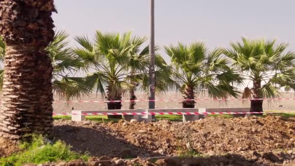 Zona Carantină Închisă Bandă Avertizare Stradă Palmieri Mare Panglică Roșie — Videoclip de stoc