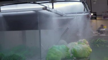 Serinletici su buharının altında güzel taze yeşil yiyecekler. Süpermarkette salata, daha çekici olsun diye hortumlardan çıkan sis suyuyla süslenmiş. Sis altında bir sürü yeşil ot.