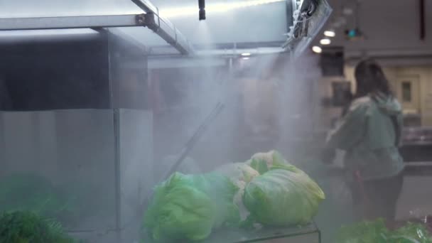 Schöne Frische Grünfutter Unter Kühlendem Wasserdampf Salat Supermarkt Mit Sprühwasser — Stockvideo