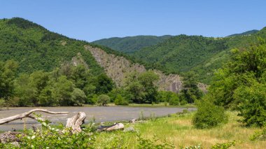 Güneşli bir günde yeşil dağların arka planında bir dağ nehrinin parlak yaz manzarası
